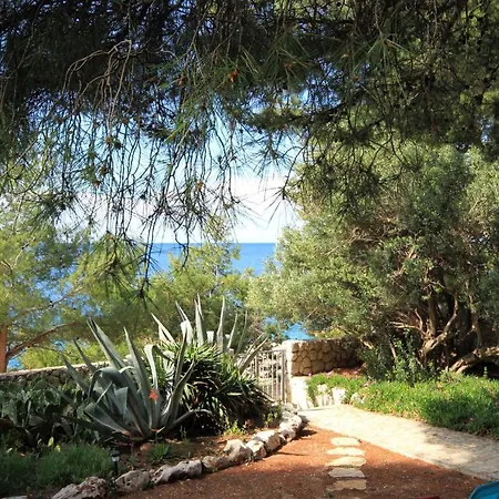 Seaside House For Families With Children Ivan Dolac, Hvar - 140 Holiday home Ivan Dolac