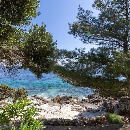 Seaside House For Families With Children Ivan Dolac, Hvar - 140 Vakantiehuis *