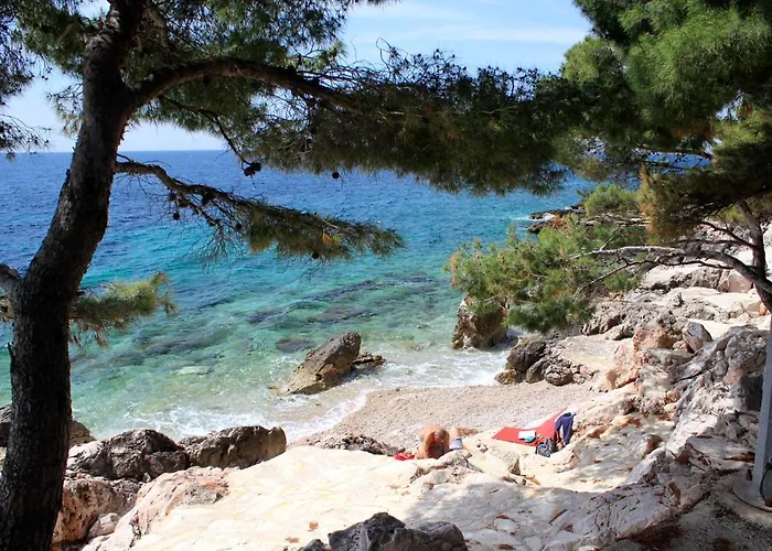 Seaside House For Families With Children Ivan Dolac, Hvar - 140 * Ivan Dolac
